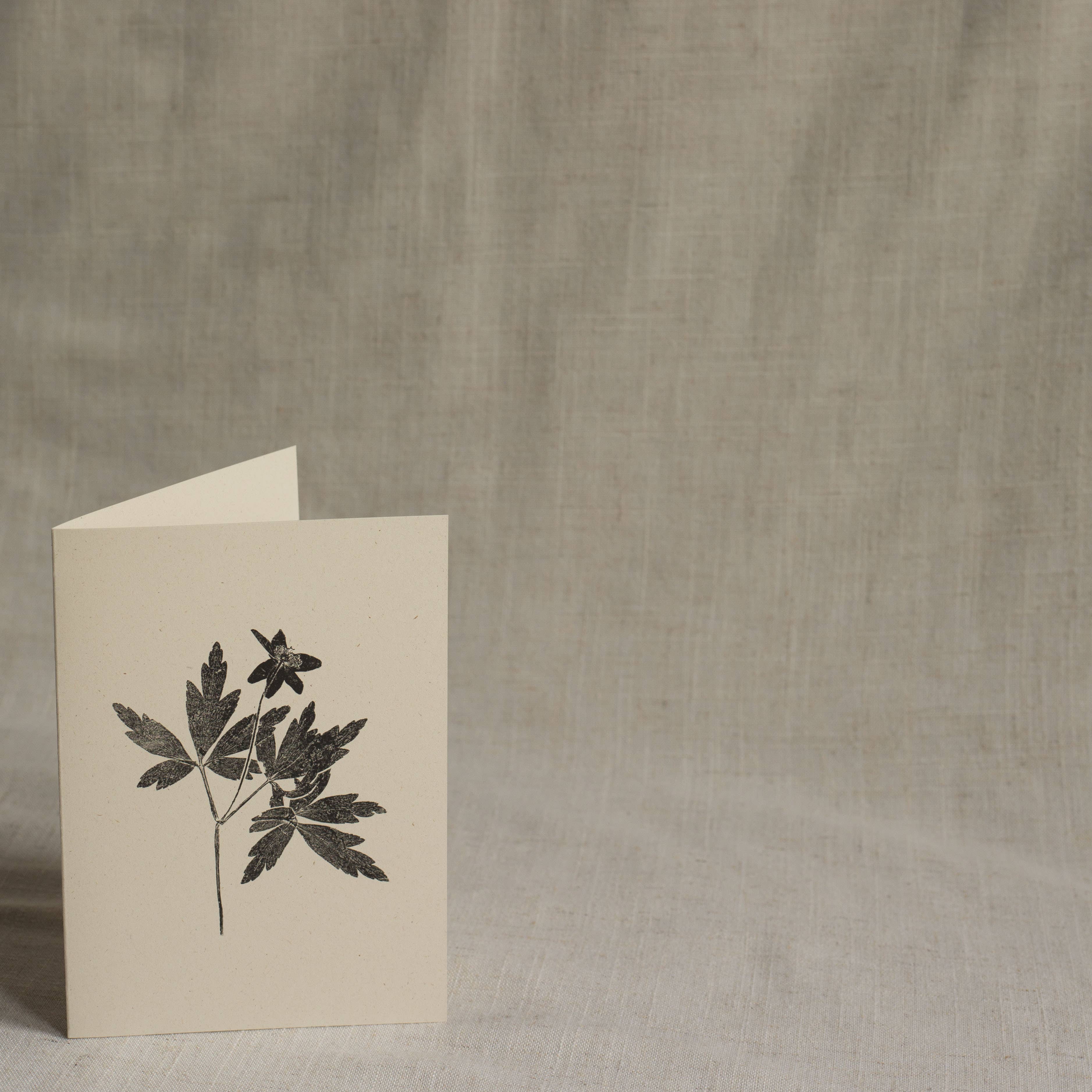 Wood Anemone Botanical Monoprint Card by Alicia Breakspear - Lifestory