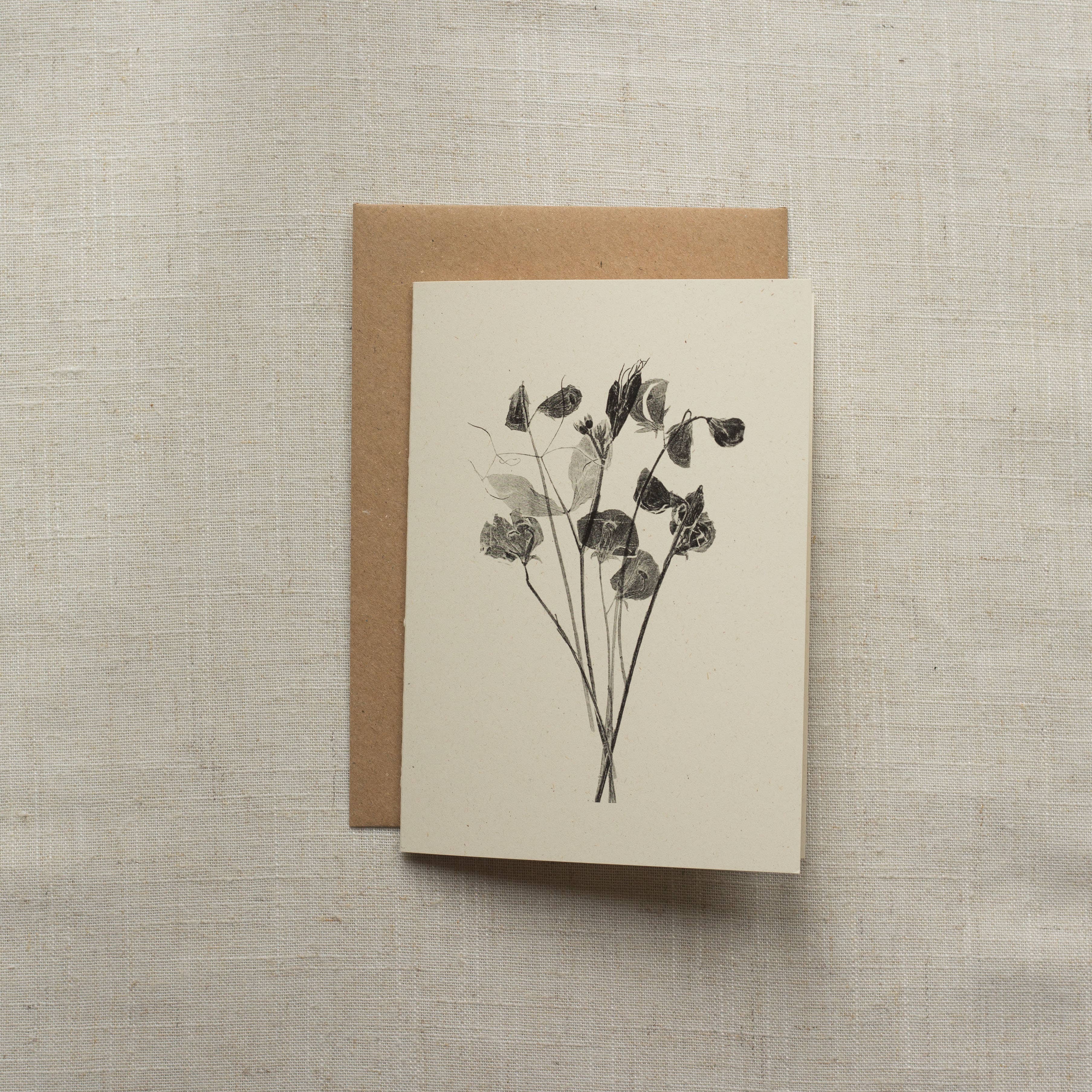Sweet Peas Botanical Monoprint Card by Alicia Breakspear - Lifestory