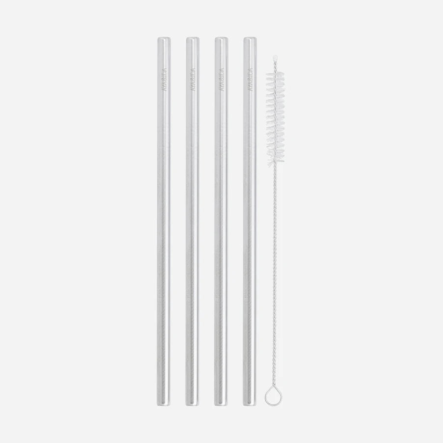 Aya&Ida Set of 4 Reusable Long Straight Steel Straws with Brush - Lifestory