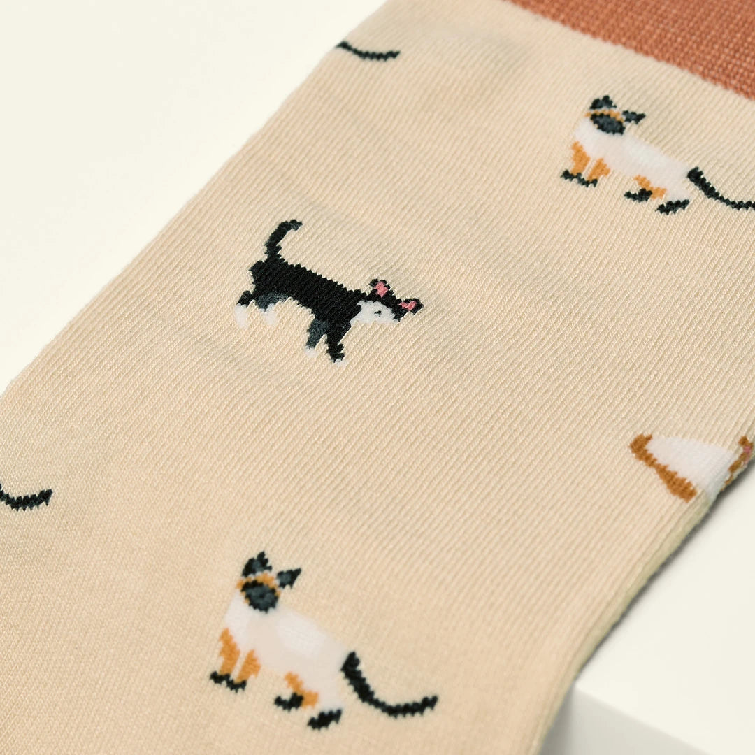 KOSI London The Cats Bamboo Socks (UK 3-8) on a white background | Lifestory