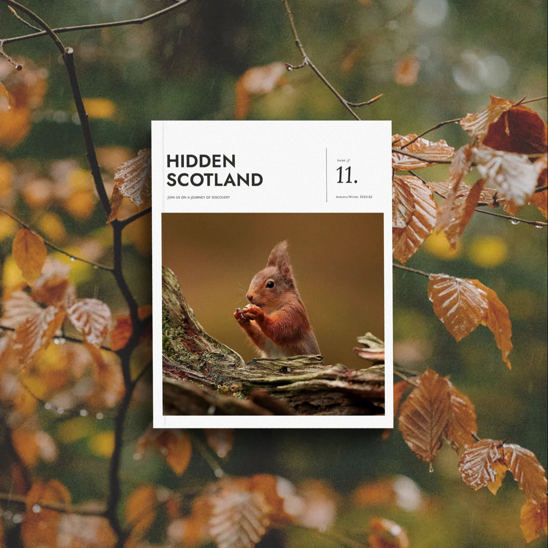 Hidden Scotland Magazine | Issue 11 - Lifestory