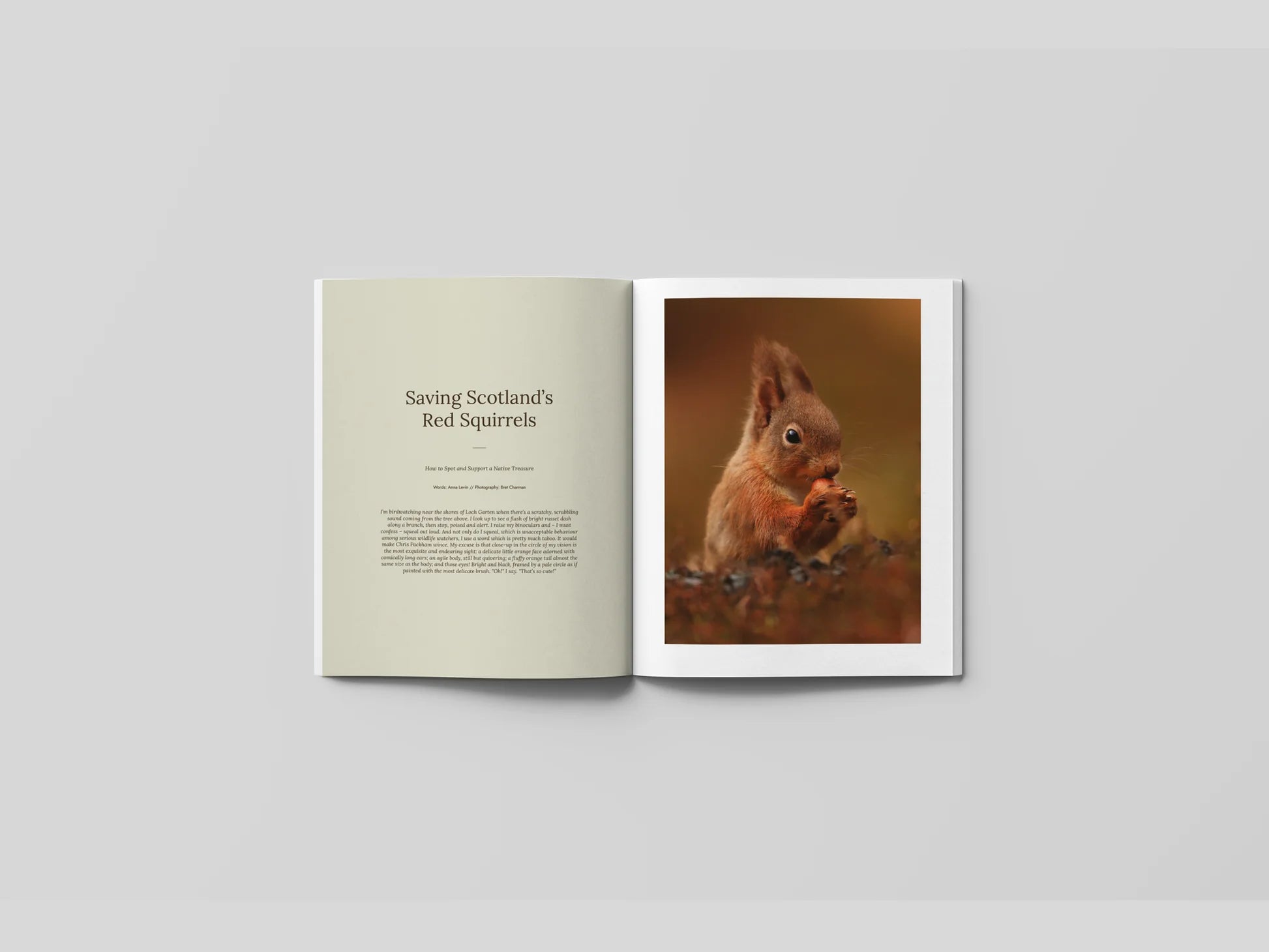 Hidden Scotland Magazine | Issue 11 - Lifestory