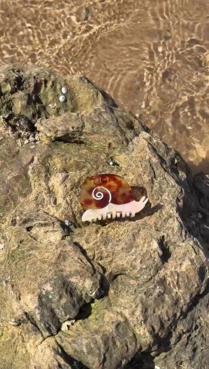 Winona Irene Sea Snail Tortoise Shell Acetate Hair Claw