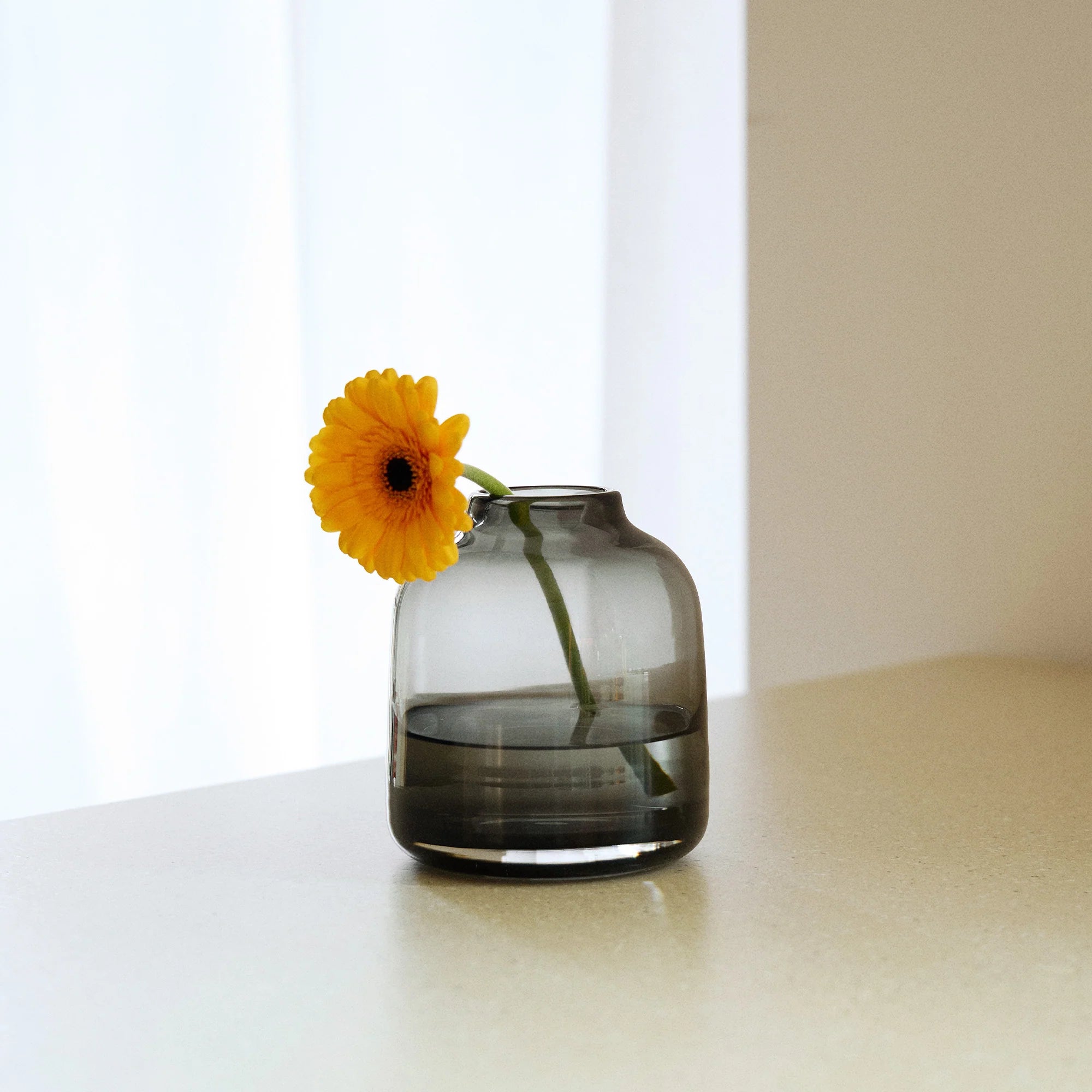 Pod Medium Glass Vase by The Conran Shop - Lifestory