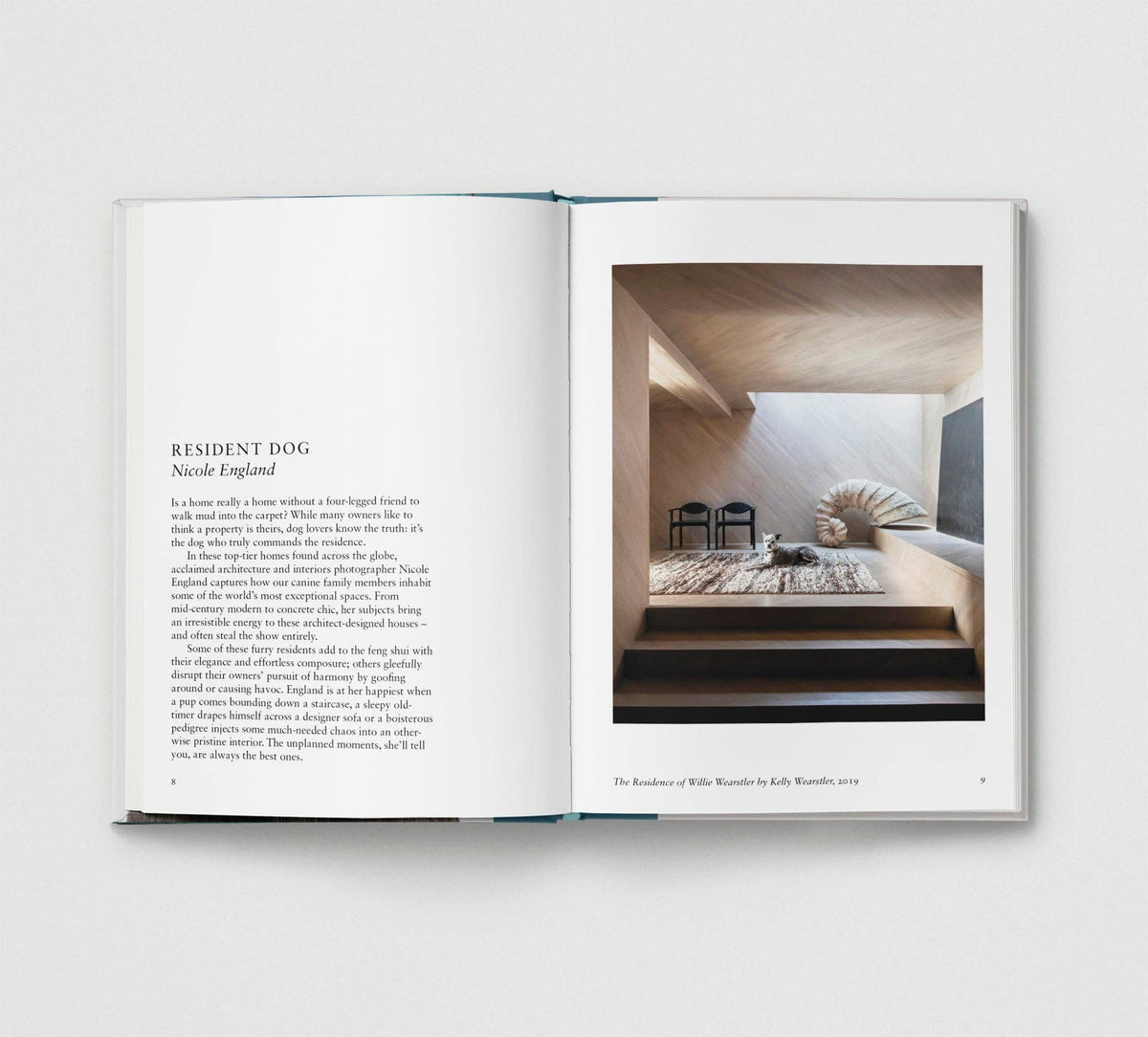 Dog. | Portrait Compilation Book