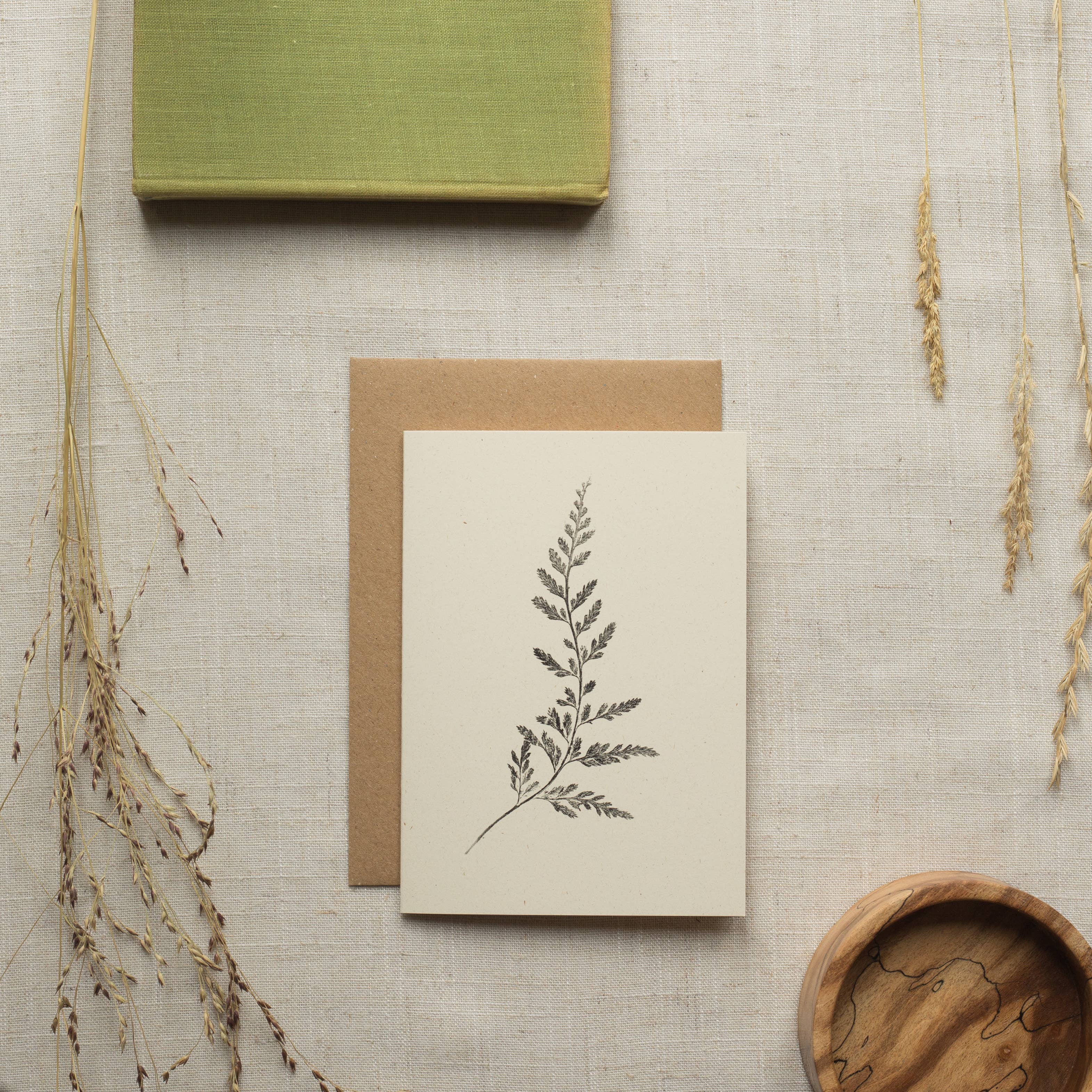 Spleenwort Fern Botanical Monoprint Card by Alicia Breakspear - Lifestory