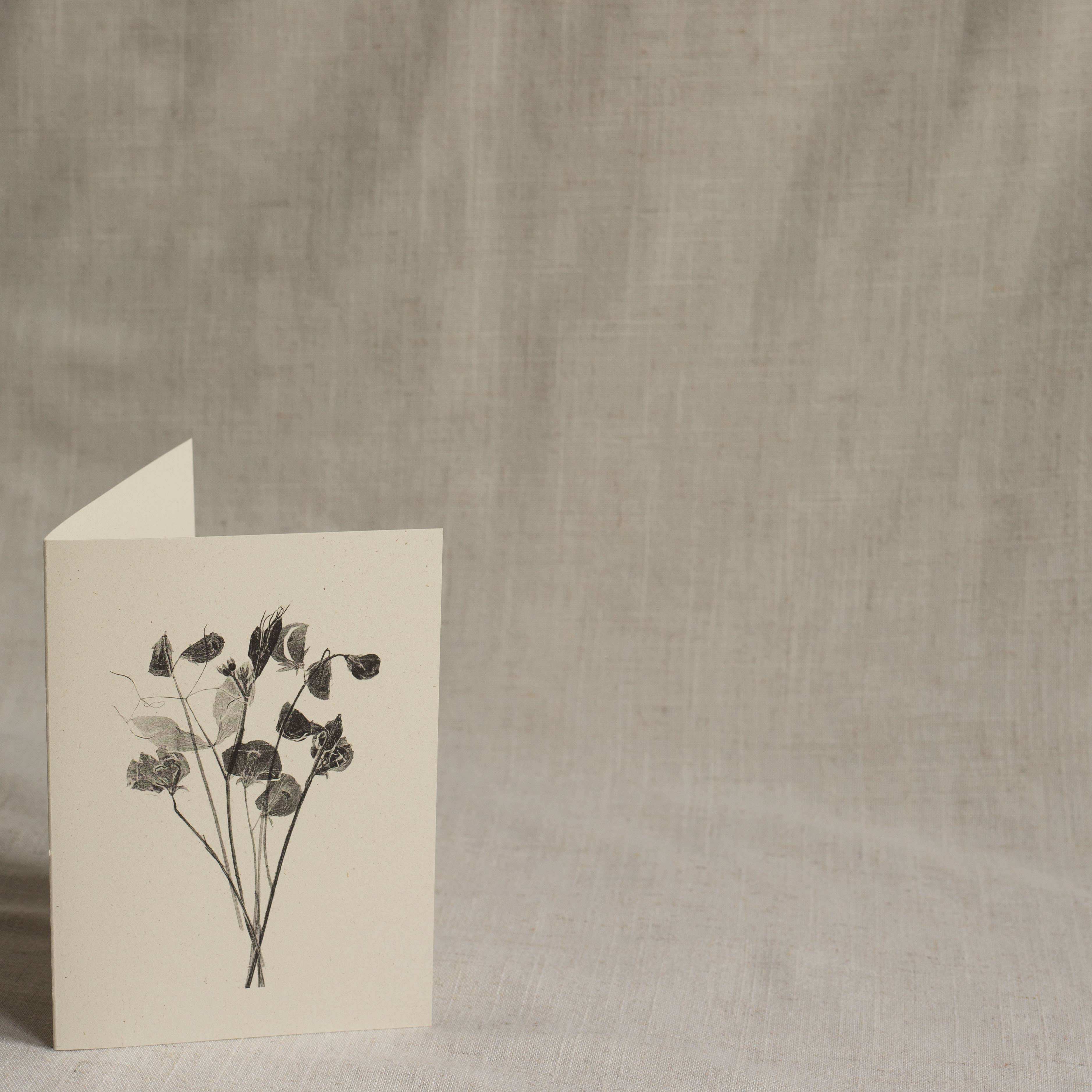 Sweet Peas Botanical Monoprint Card by Alicia Breakspear - Lifestory