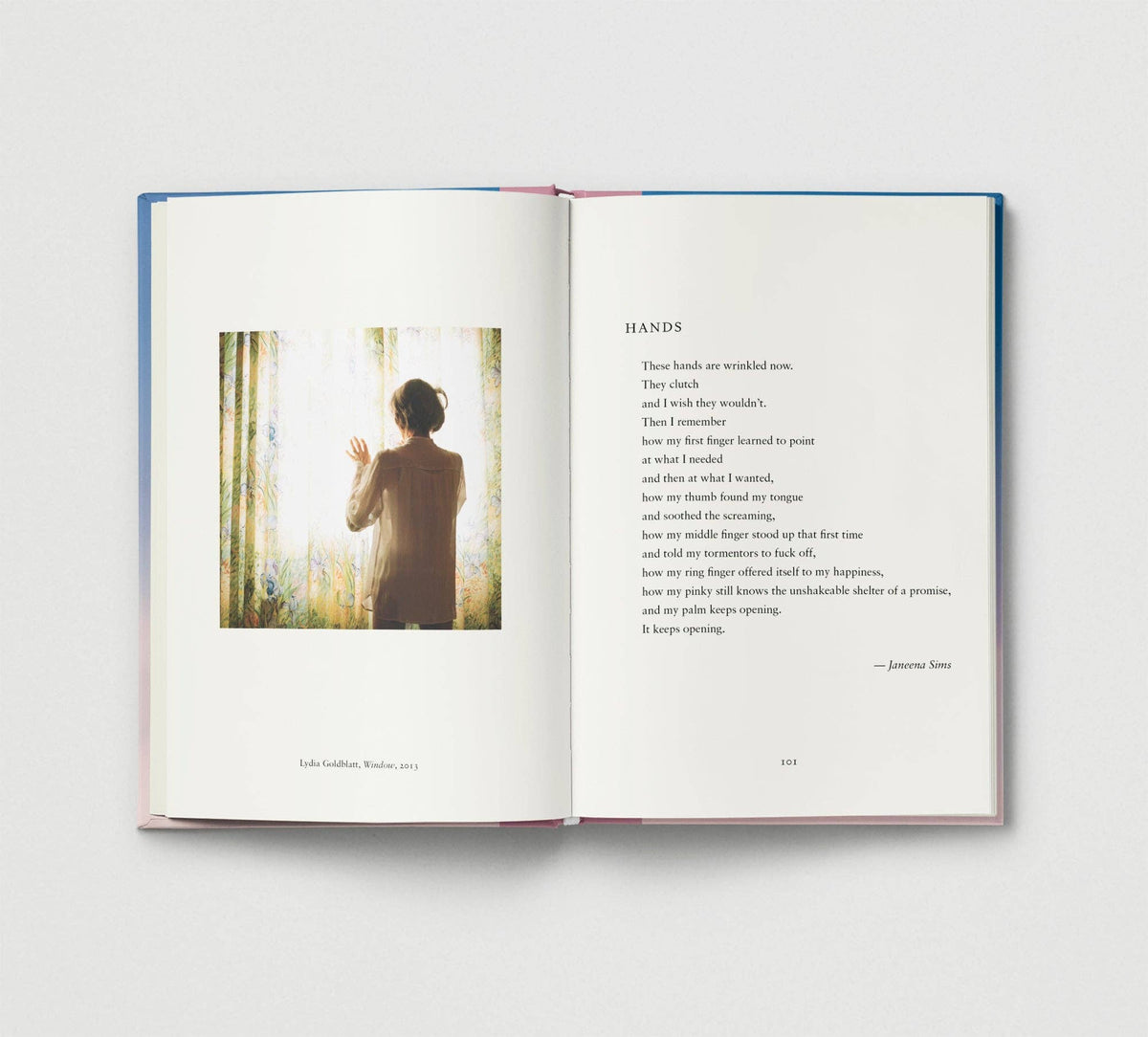 Everyday Wonder | Compilation Book