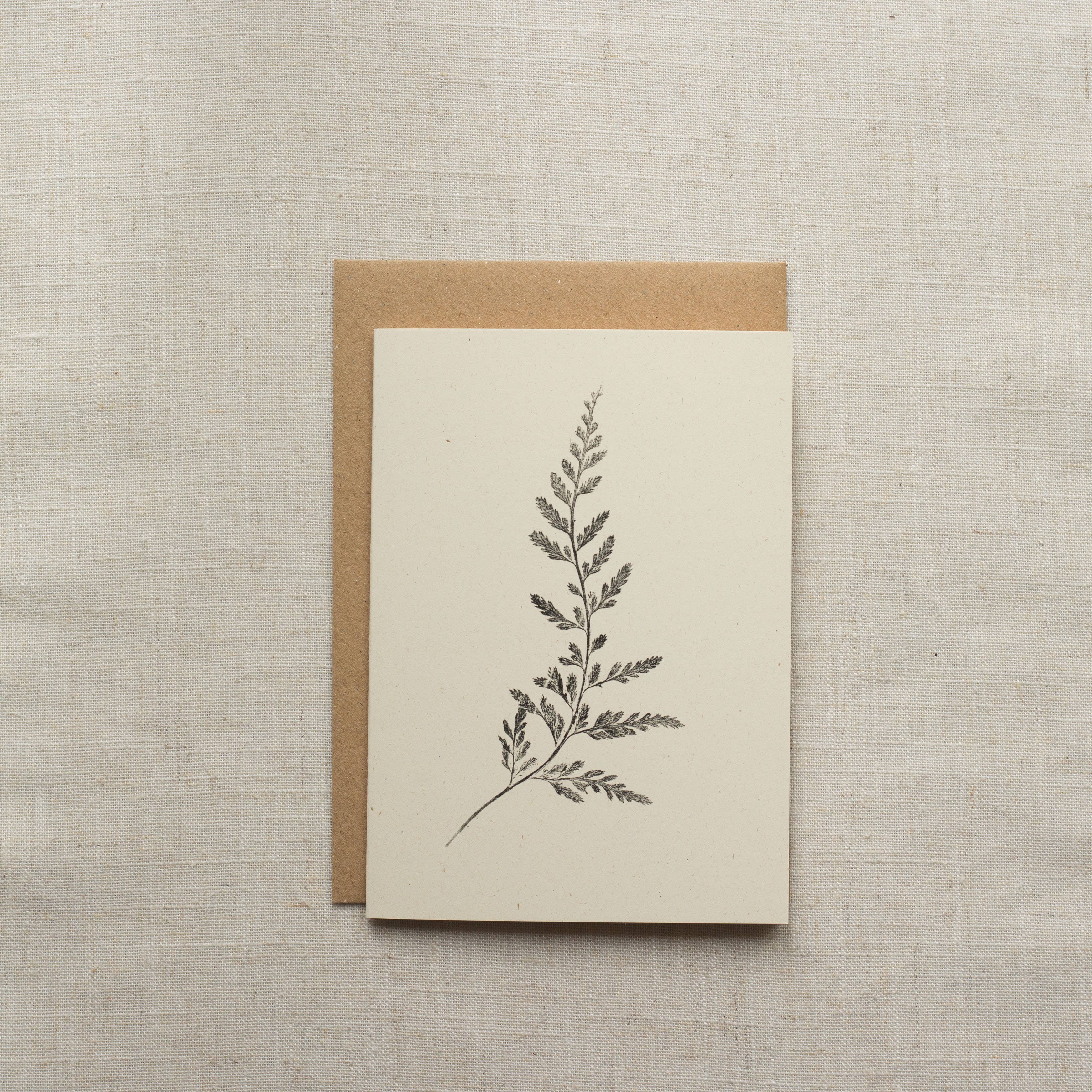 Spleenwort Fern Botanical Monoprint Card by Alicia Breakspear - Lifestory