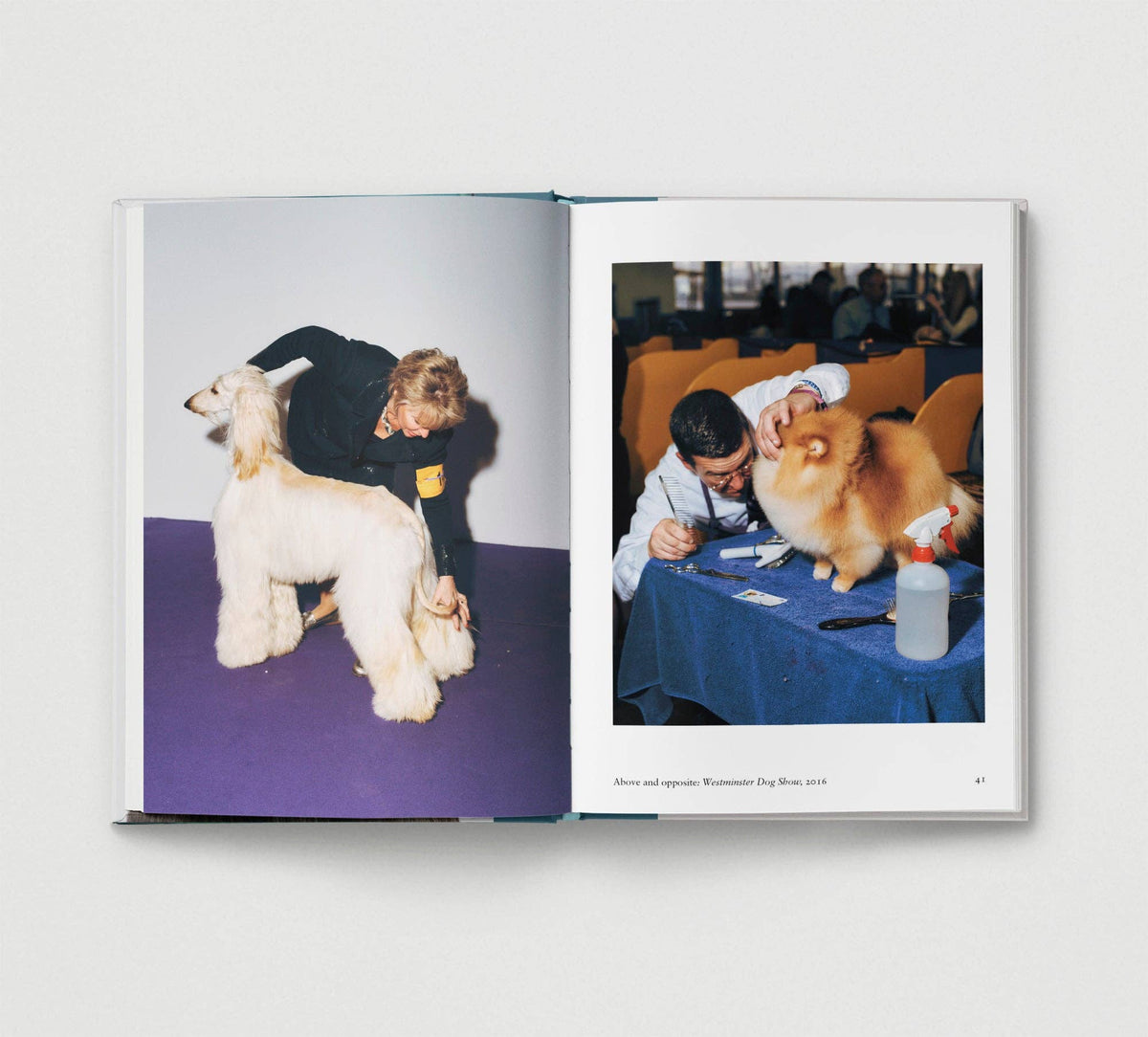 Dog. | Portrait Compilation Book