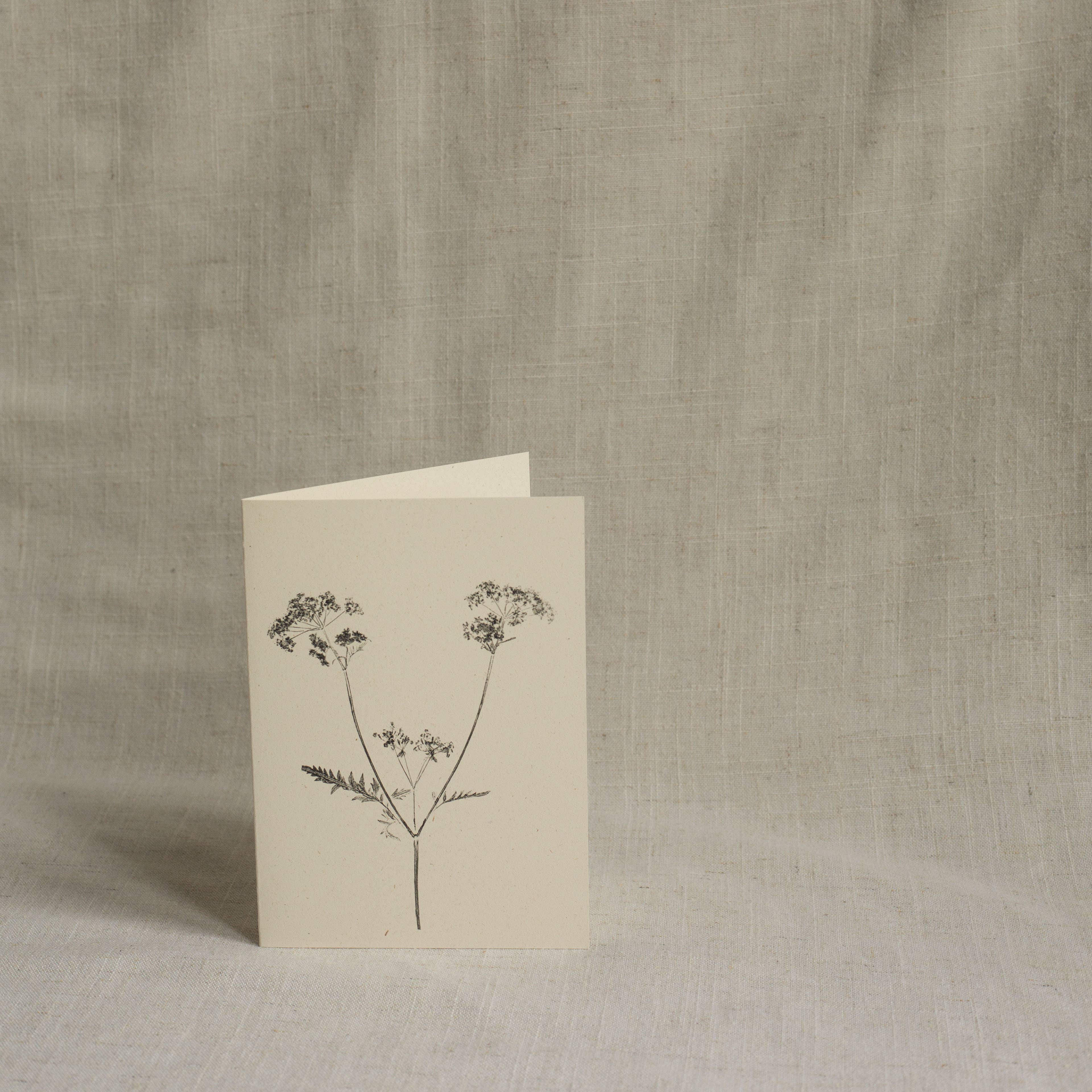 Cow Parsley Botanical Monoprint Card by Alicia Breakspear - Lifestory
