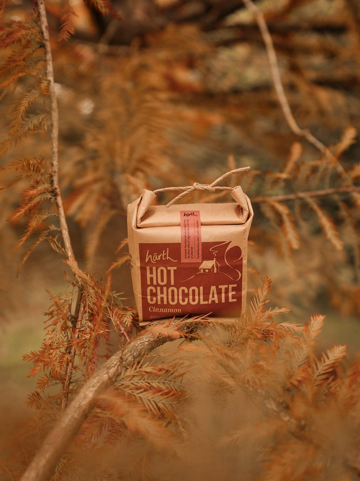 Harth Cinnamon Hot Chocolate 400g Bag | Vegan