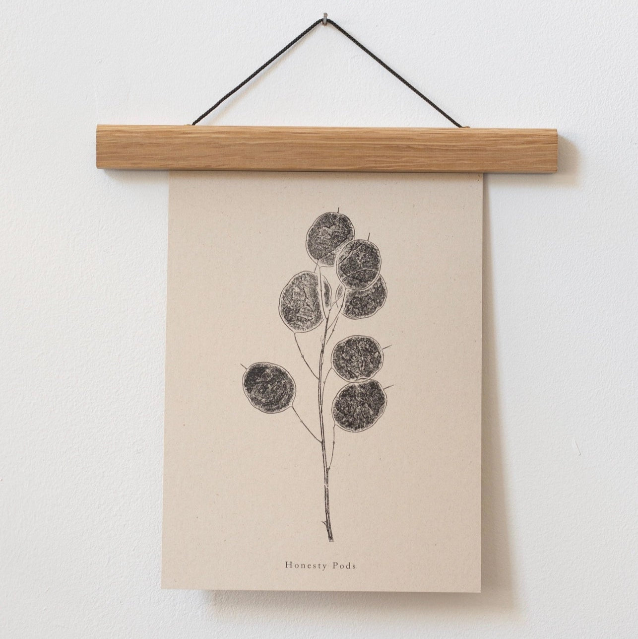 Honesty Pods A4 Botanical Monoprint Unframed Print by Alicia Breakspear - Lifestory