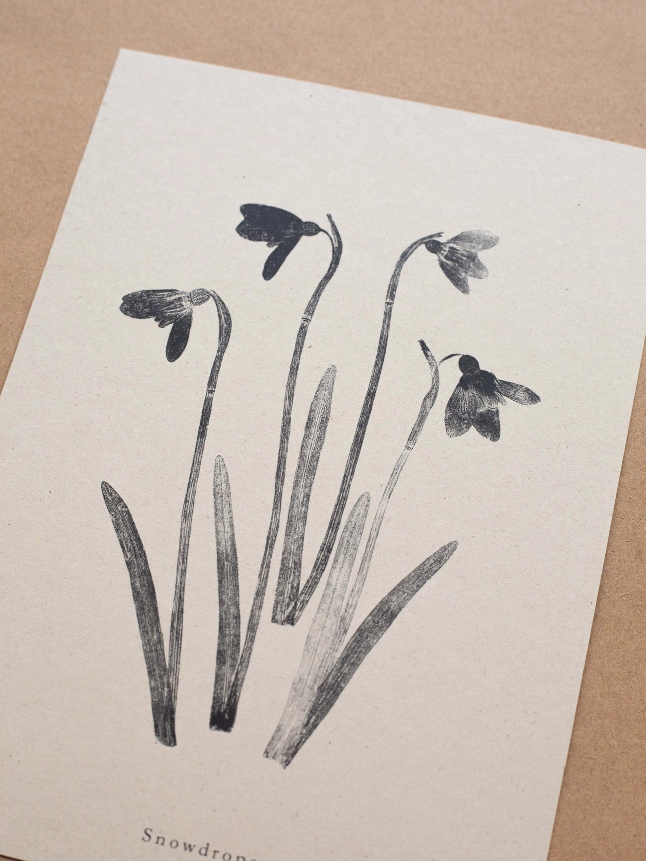 Snowdrops A4 Botanical Monoprint Unframed Print by Alicia Breakspear - Lifestory