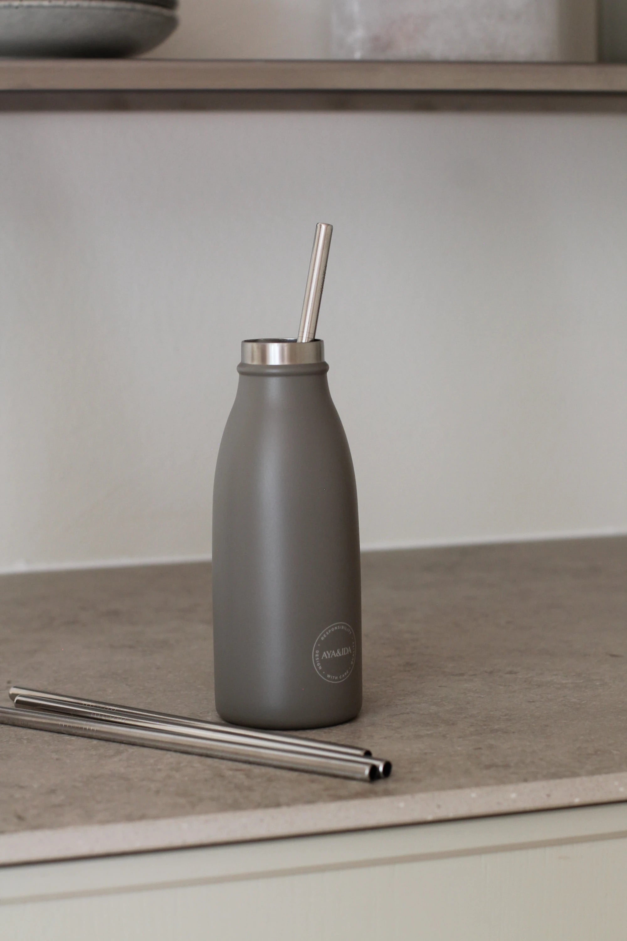Aya&Ida Set of 4 Reusable Long Straight Steel Straws with Brush - Lifestory