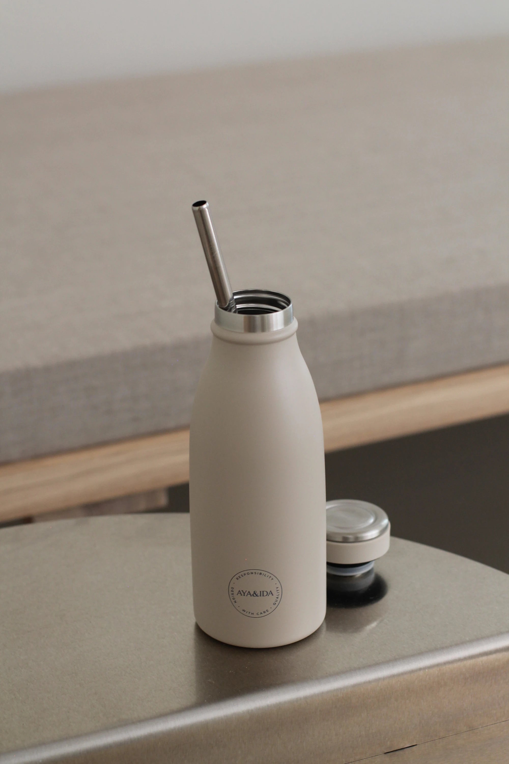 Aya&Ida Set of 4 Reusable Long Straight Steel Straws with Brush - Lifestory
