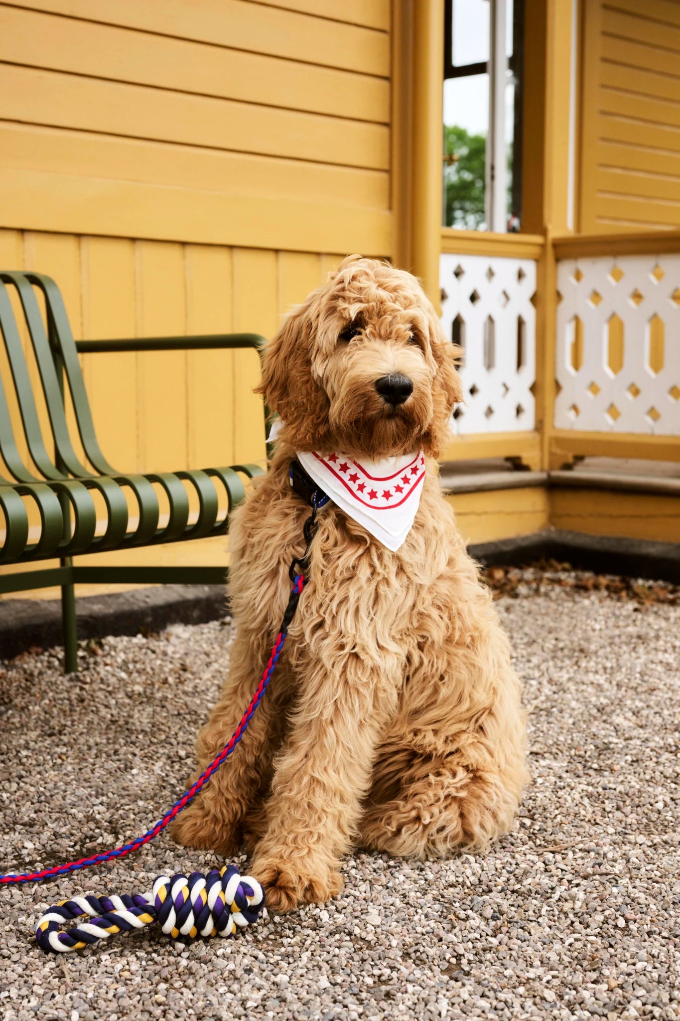 Dog Scarf | Cotton | by HAY - Lifestory