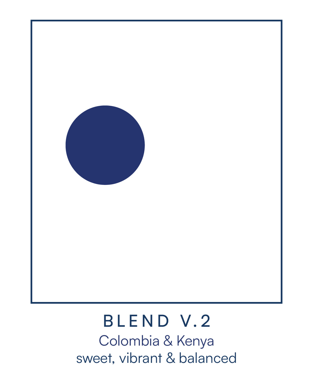 Fortitude 250g Bag of Blend V.2 - Colombia & Kenya (Washed) WHOLE BEANS