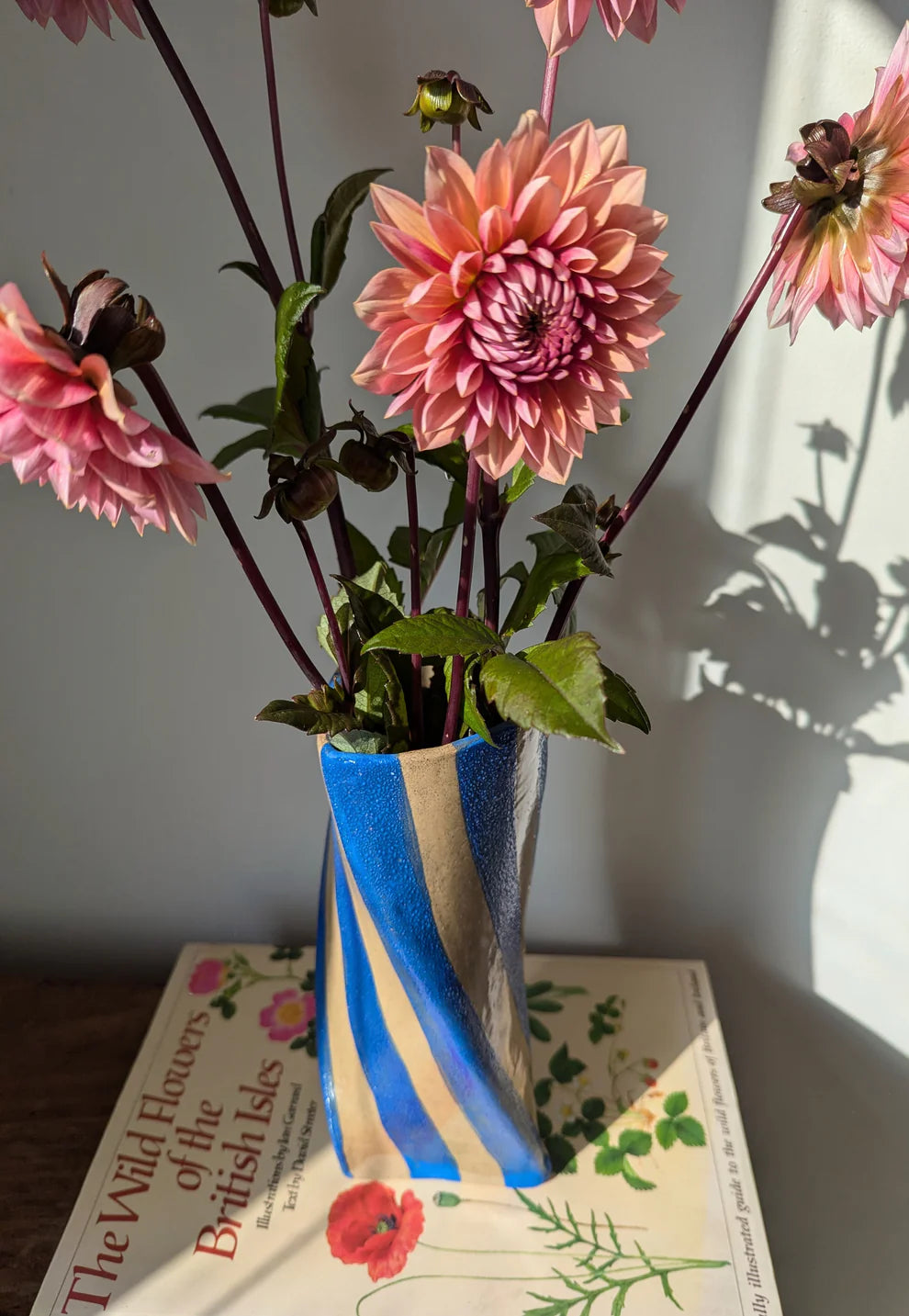 Rosie Gore Stripe Twist Vase in Various Colours - Lifestory