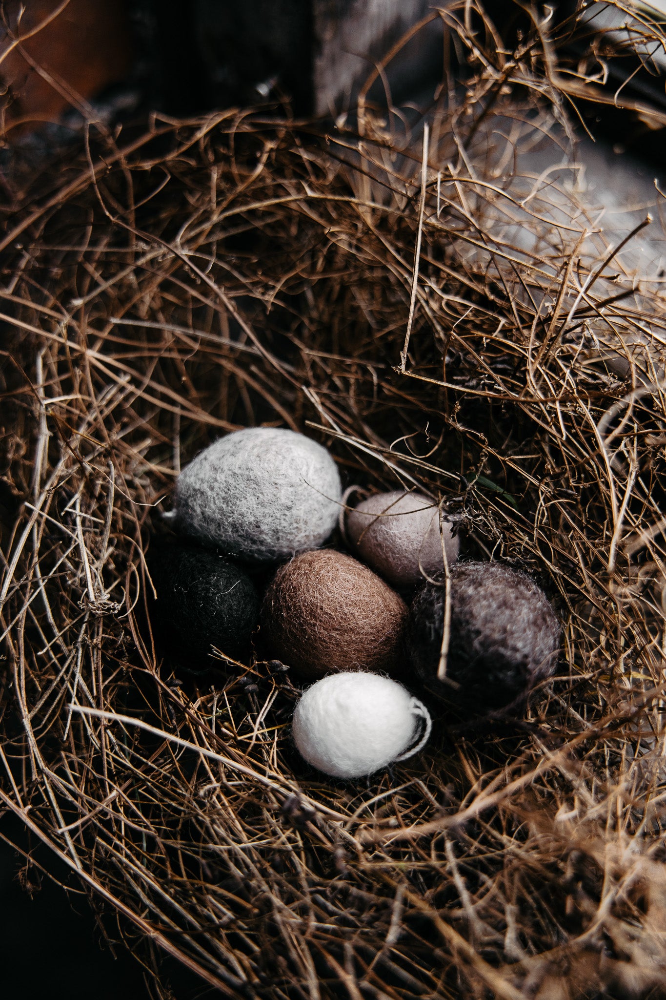 Felted Hanging Egg Decoration | Various | by Storefactory - Lifestory