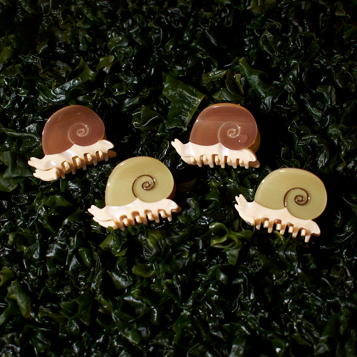 Winona Irene Mini Snail Acetate Hair Claw - Lifestory