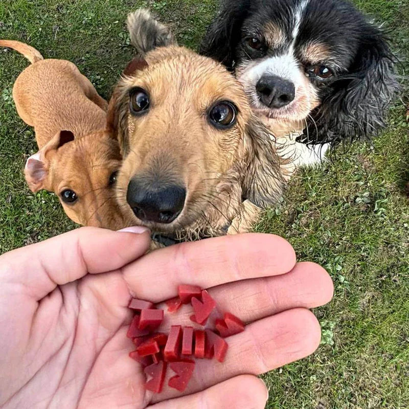 W'zis Plant Based Dog Training 'Wowzers' Treat Box - Lifestory