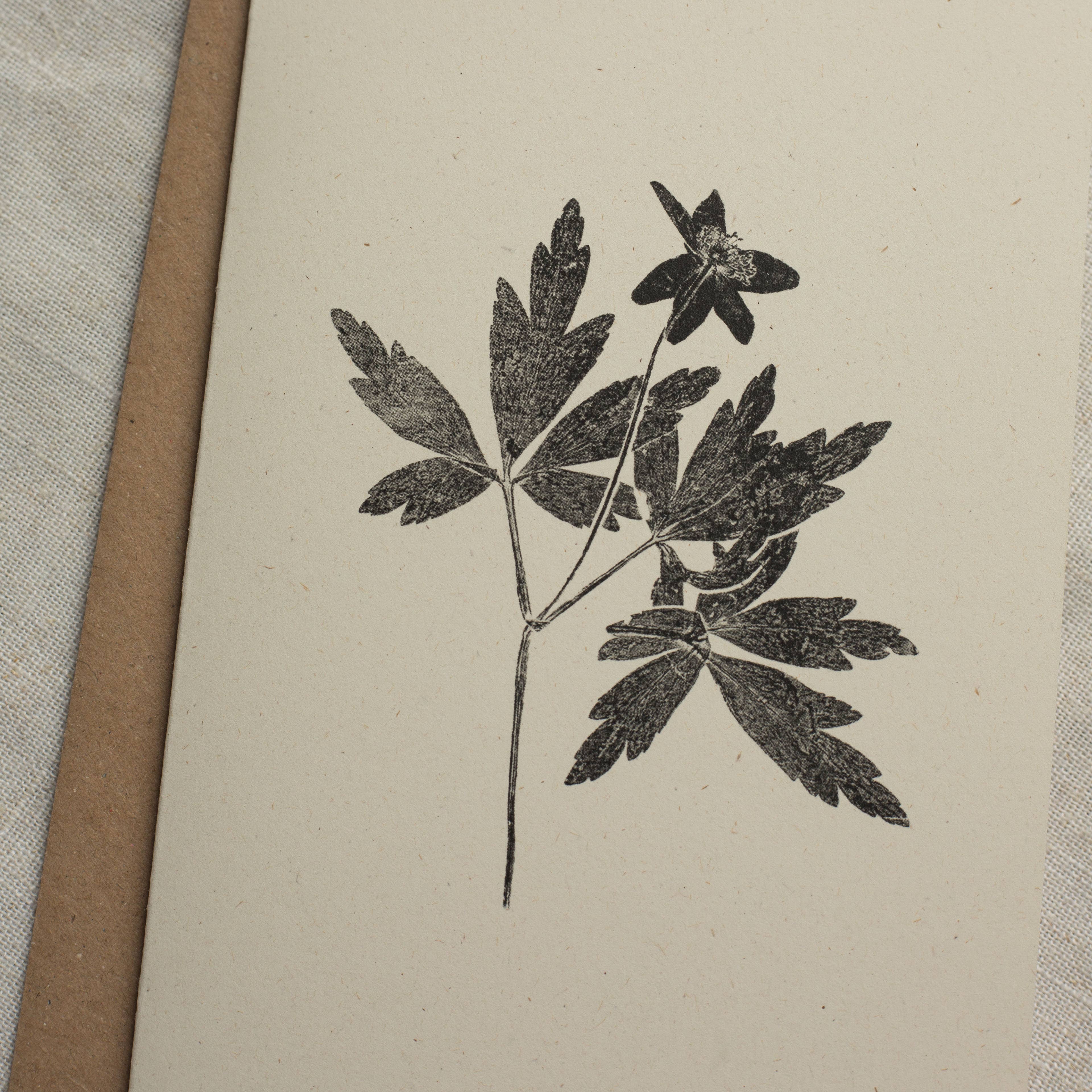 Wood Anemone Botanical Monoprint Card by Alicia Breakspear - Lifestory
