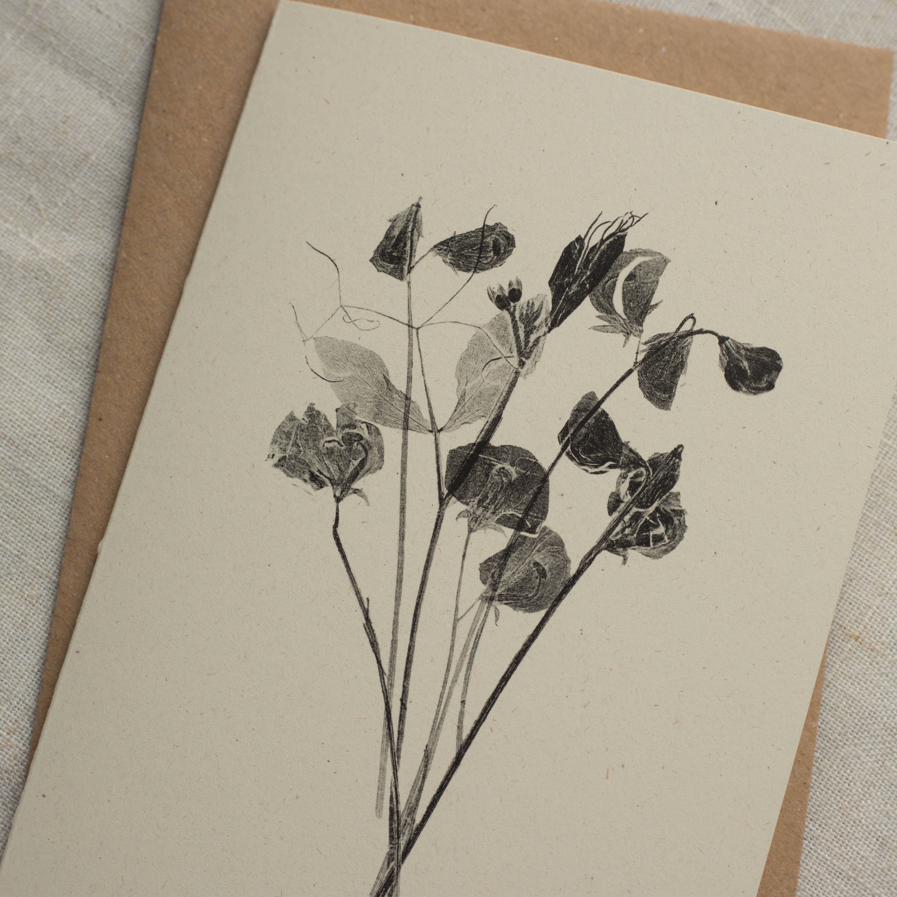 Sweet Peas Botanical Monoprint Card by Alicia Breakspear - Lifestory