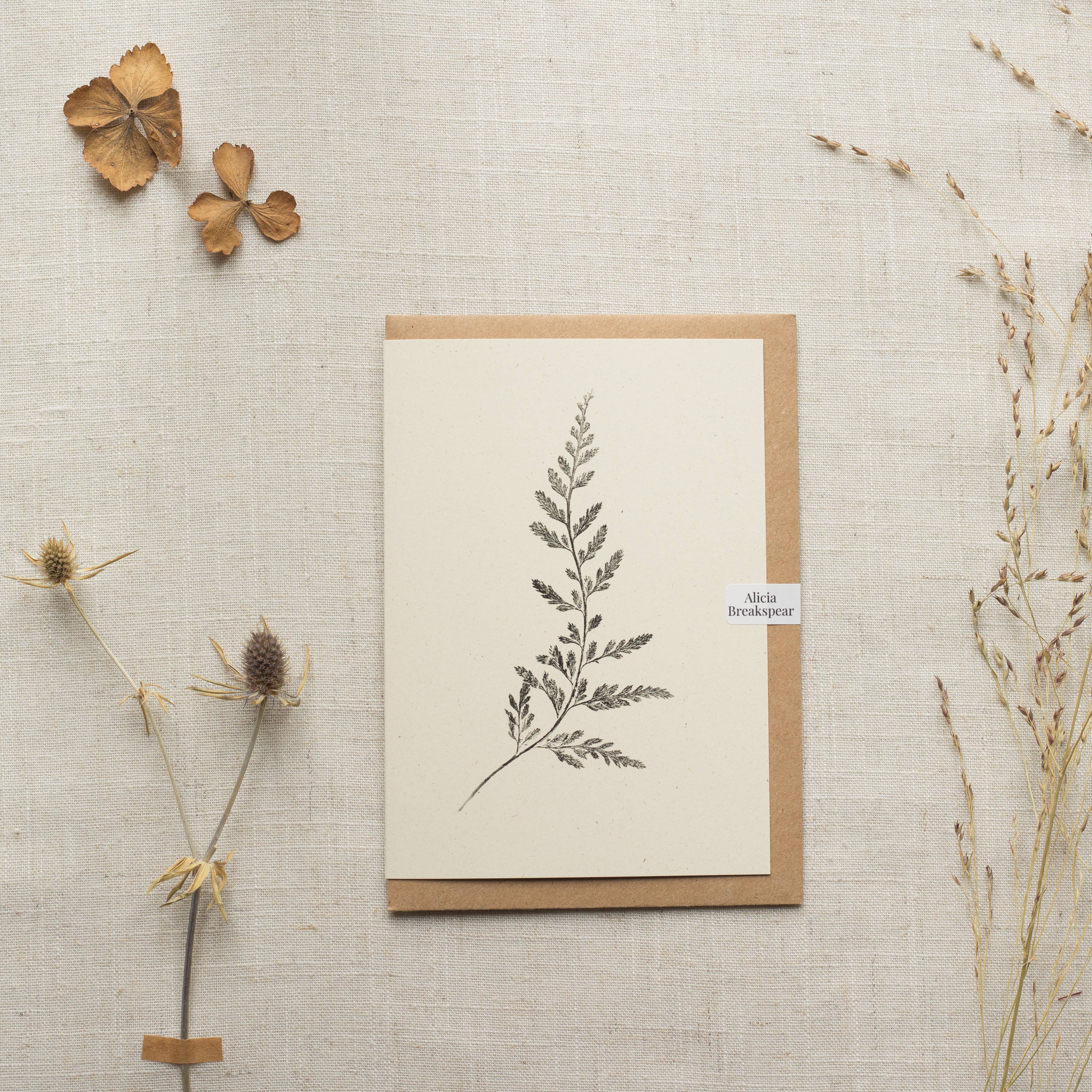 Spleenwort Fern Botanical Monoprint Card by Alicia Breakspear - Lifestory